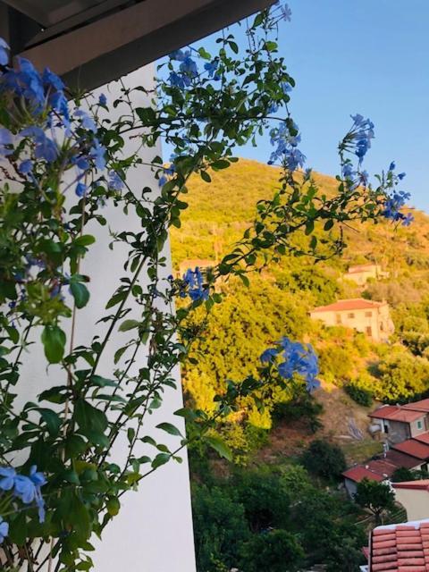 Appartamento Casa 4 Novembre Cittadella del Capo Esterno foto